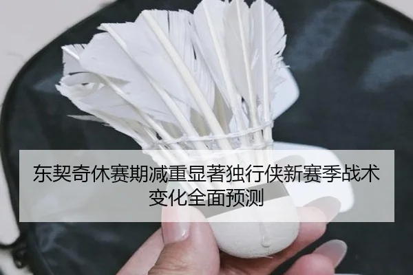 东契奇休赛期减重显著独行侠新赛季战术变化全面预测